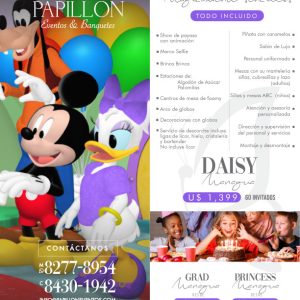 Piñata Daisy - Eventos Sociales - Papillon Eventos y Banquetes