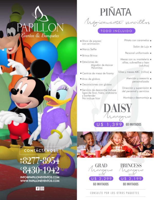 Piñata Daisy - Eventos Sociales - Papillon Eventos y Banquetes