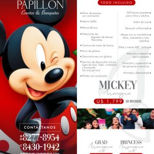 Piñata Mickey - Eventos Sociales - Papillon Eventos y Banquetes